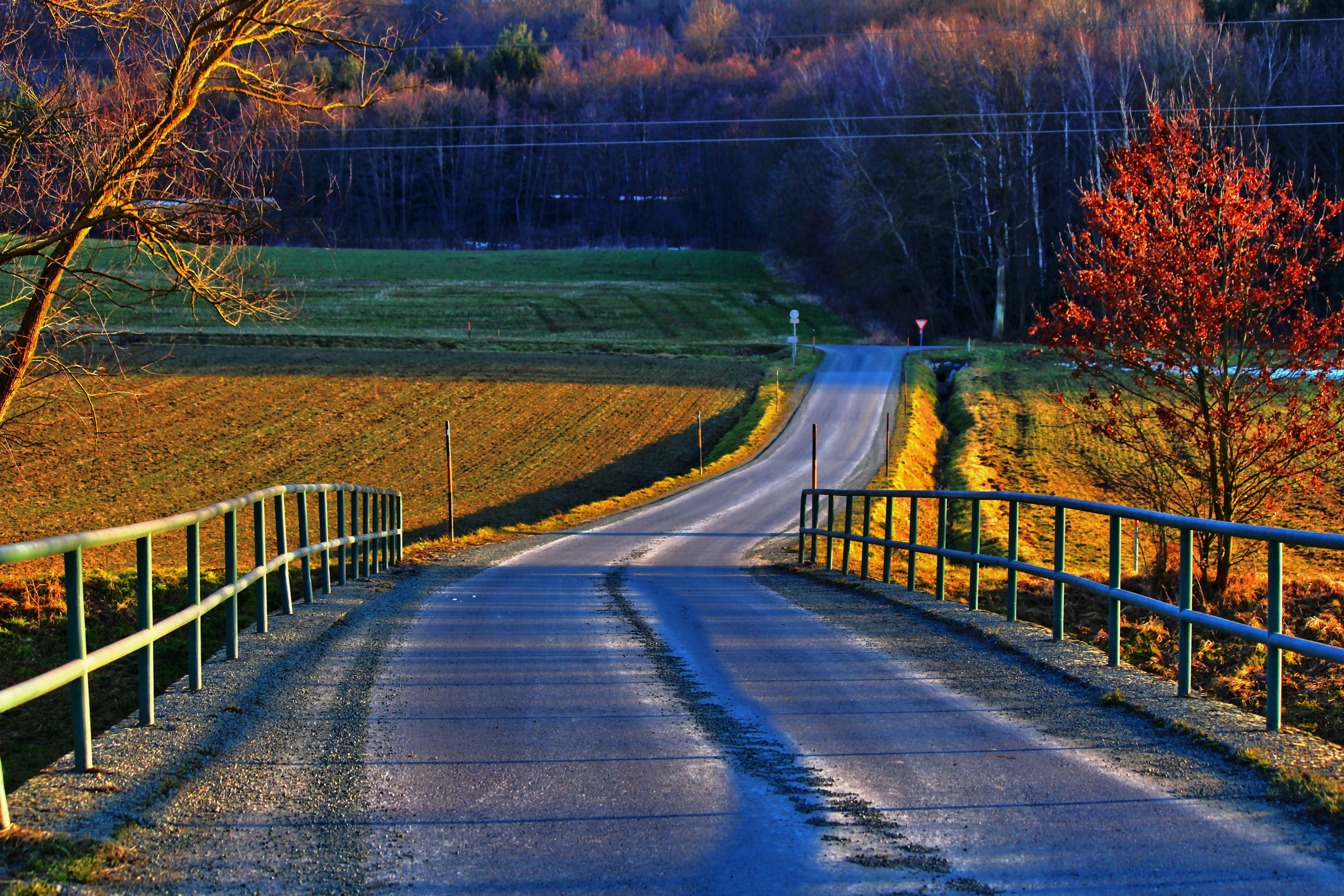 photo of road on farm during daytime