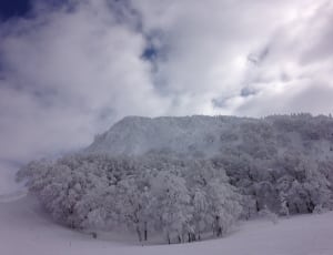 ice covered mountain and trees thumbnail