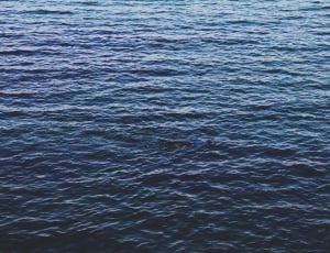 aerial photography of person floating in the sea thumbnail