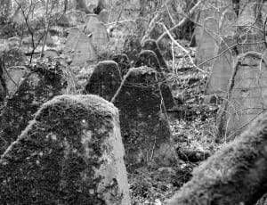 grayscale photo of tomb stones thumbnail