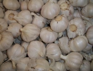 bulb garlic lot thumbnail