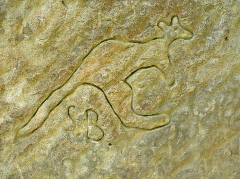 stone engrave kangaroo preview