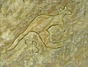 stone engrave kangaroo thumbnail
