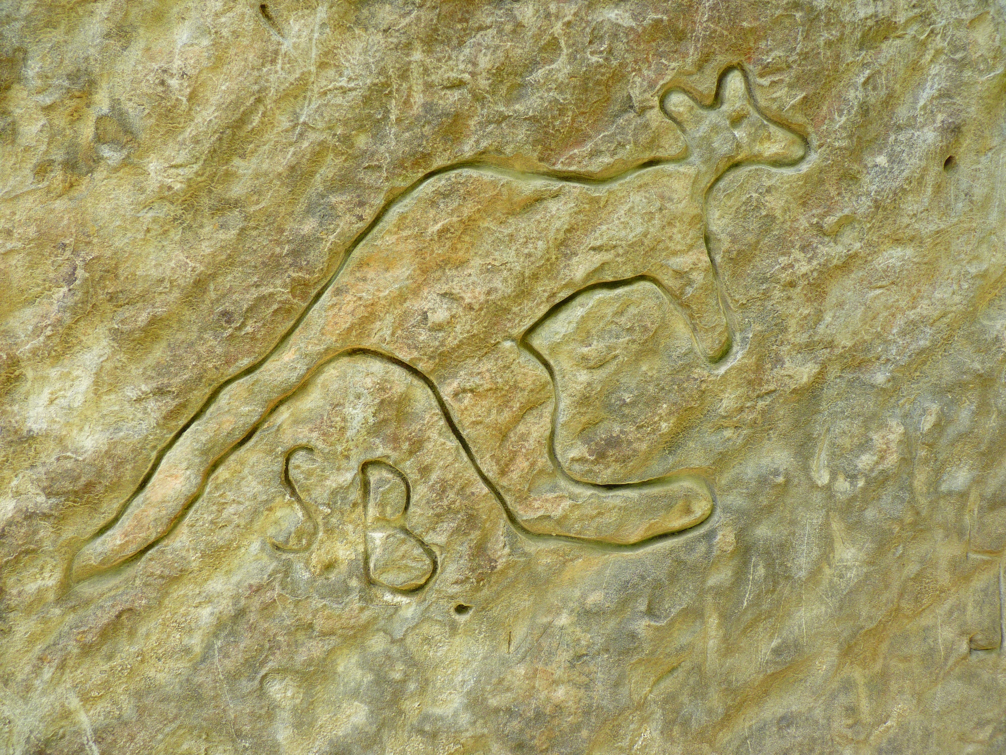 stone engrave kangaroo