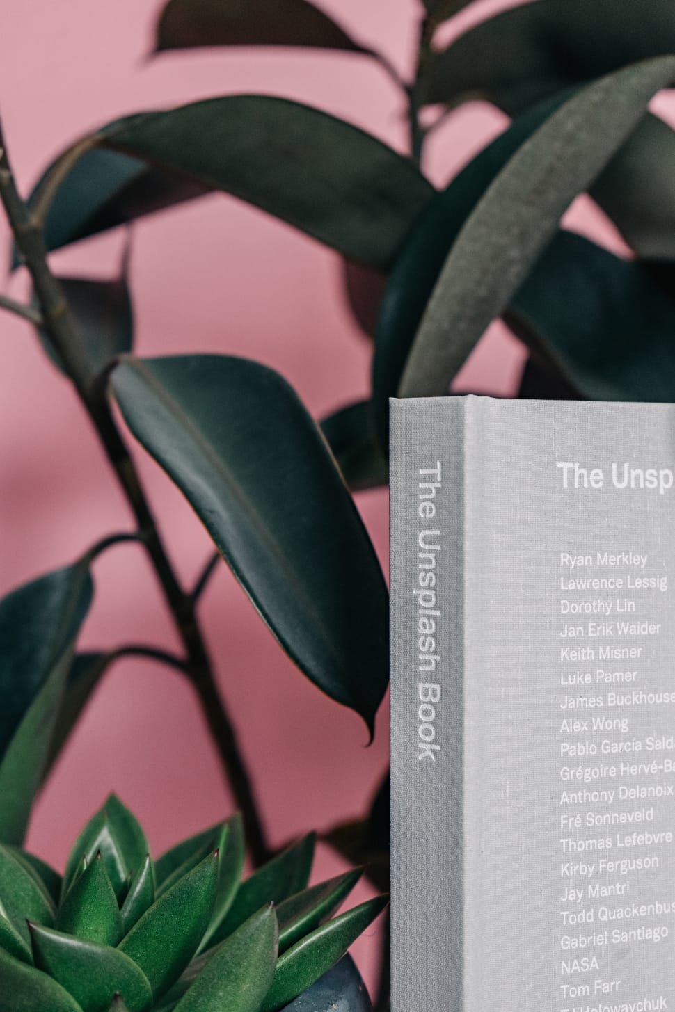 the unsplash book preview