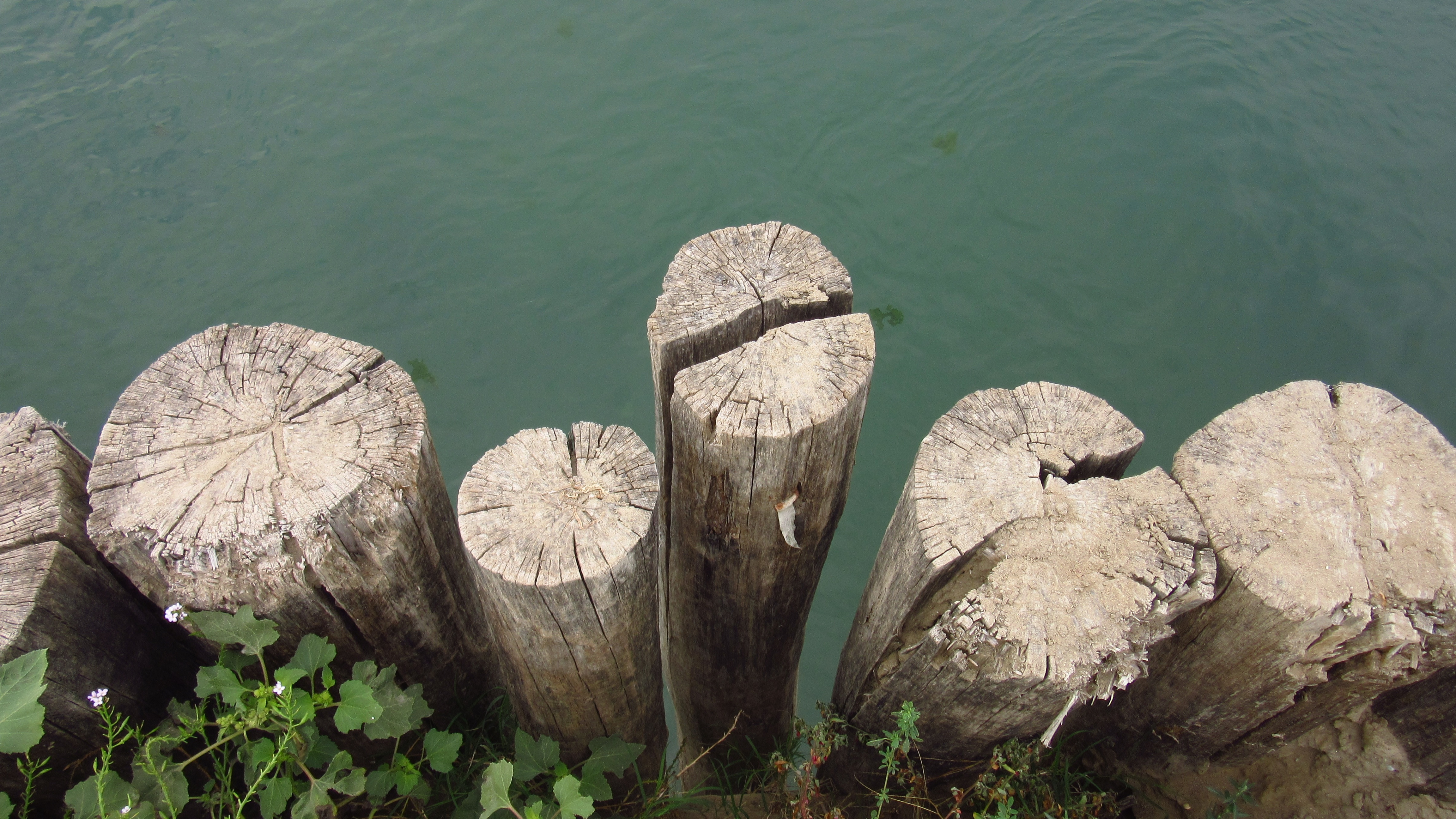brown wooden pillars