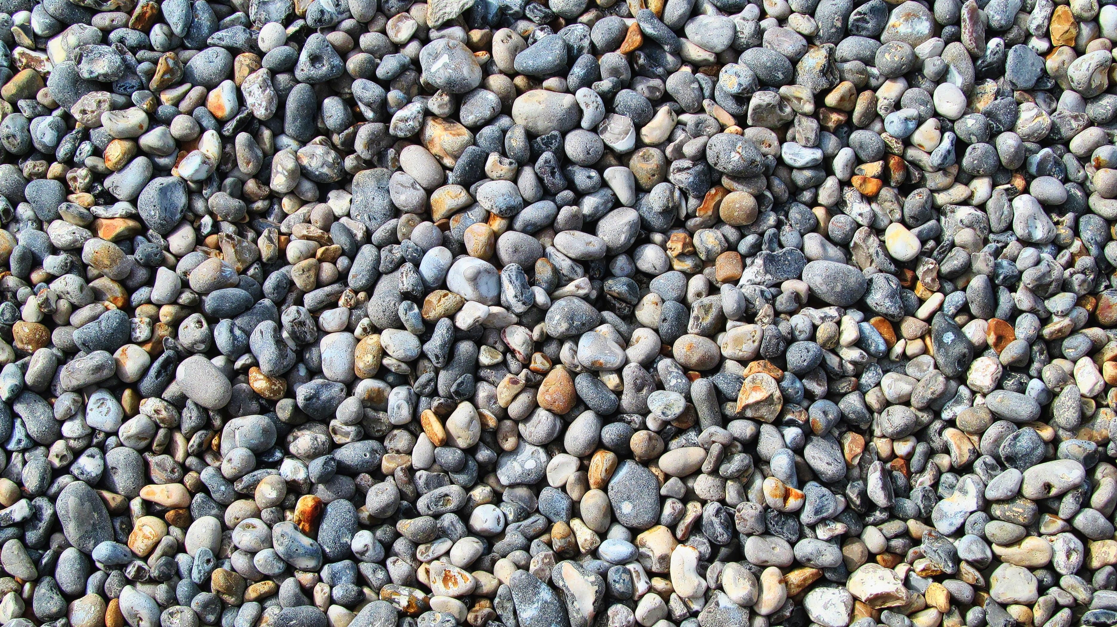 seashore stones