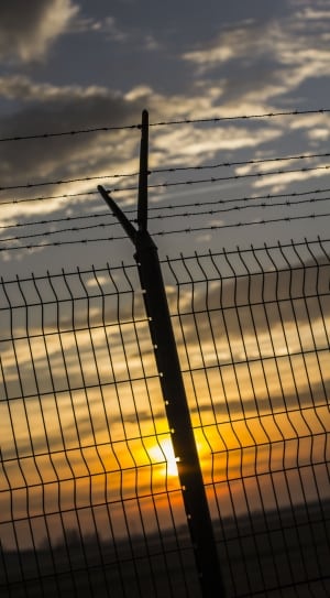 gray steel barbwire and fence thumbnail