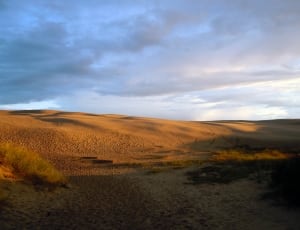 brown desert under grey sky during daytime thumbnail