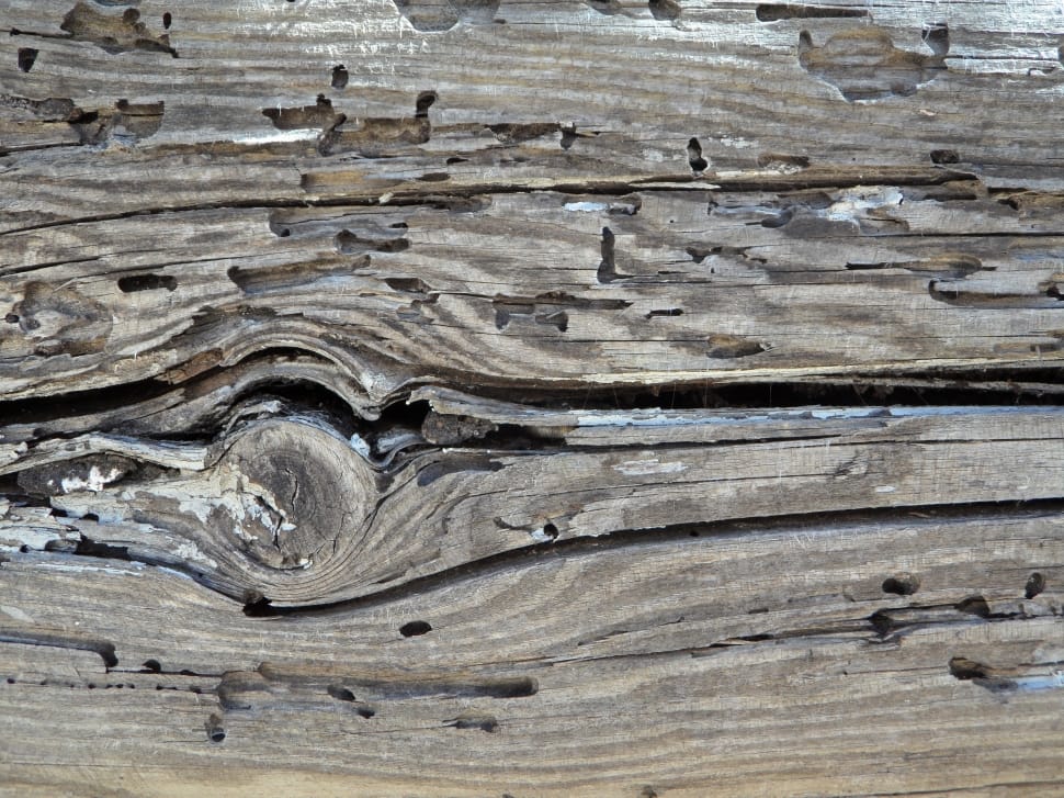 gray wooden plank preview