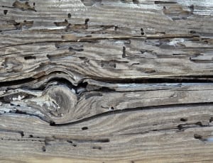 gray wooden plank thumbnail