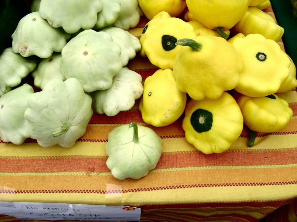 green and yellow mini squash vegetable preview