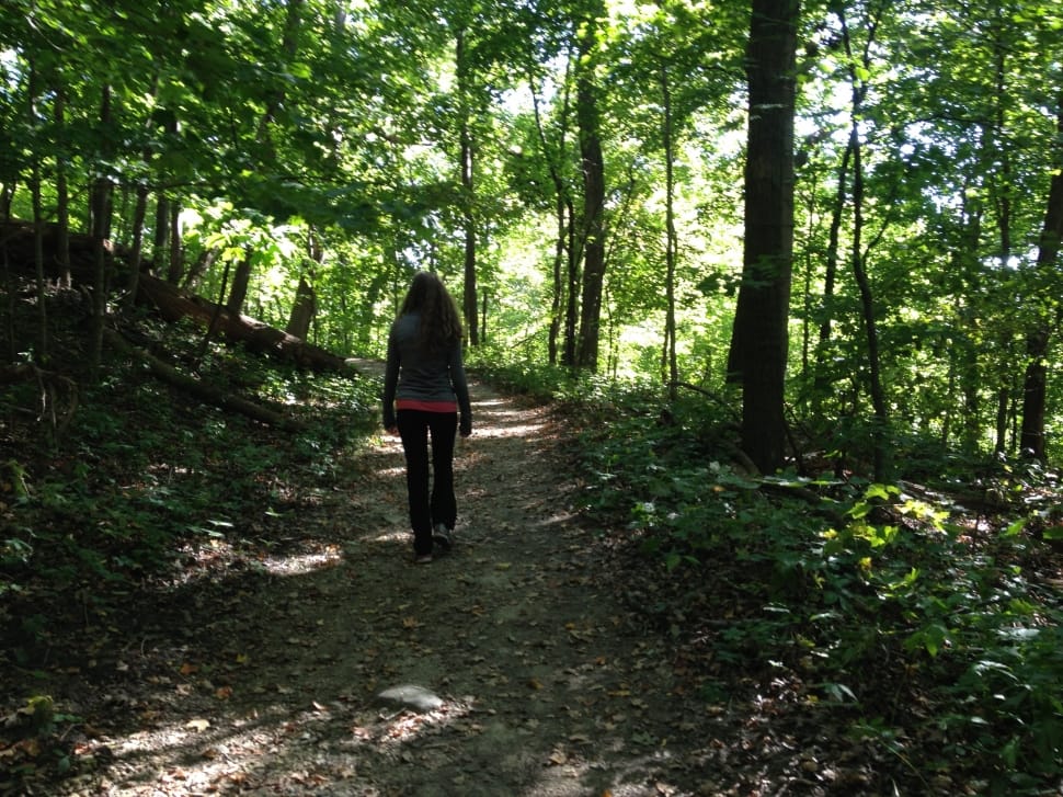 girl walking in the brown way in between of trees preview
