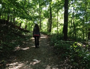 girl walking in the brown way in between of trees thumbnail