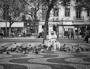 grayscale photo woman sitting on concrete bench beside pigeons thumbnail