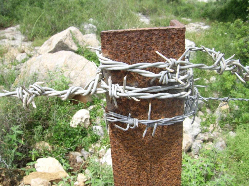 gray barbed wire preview