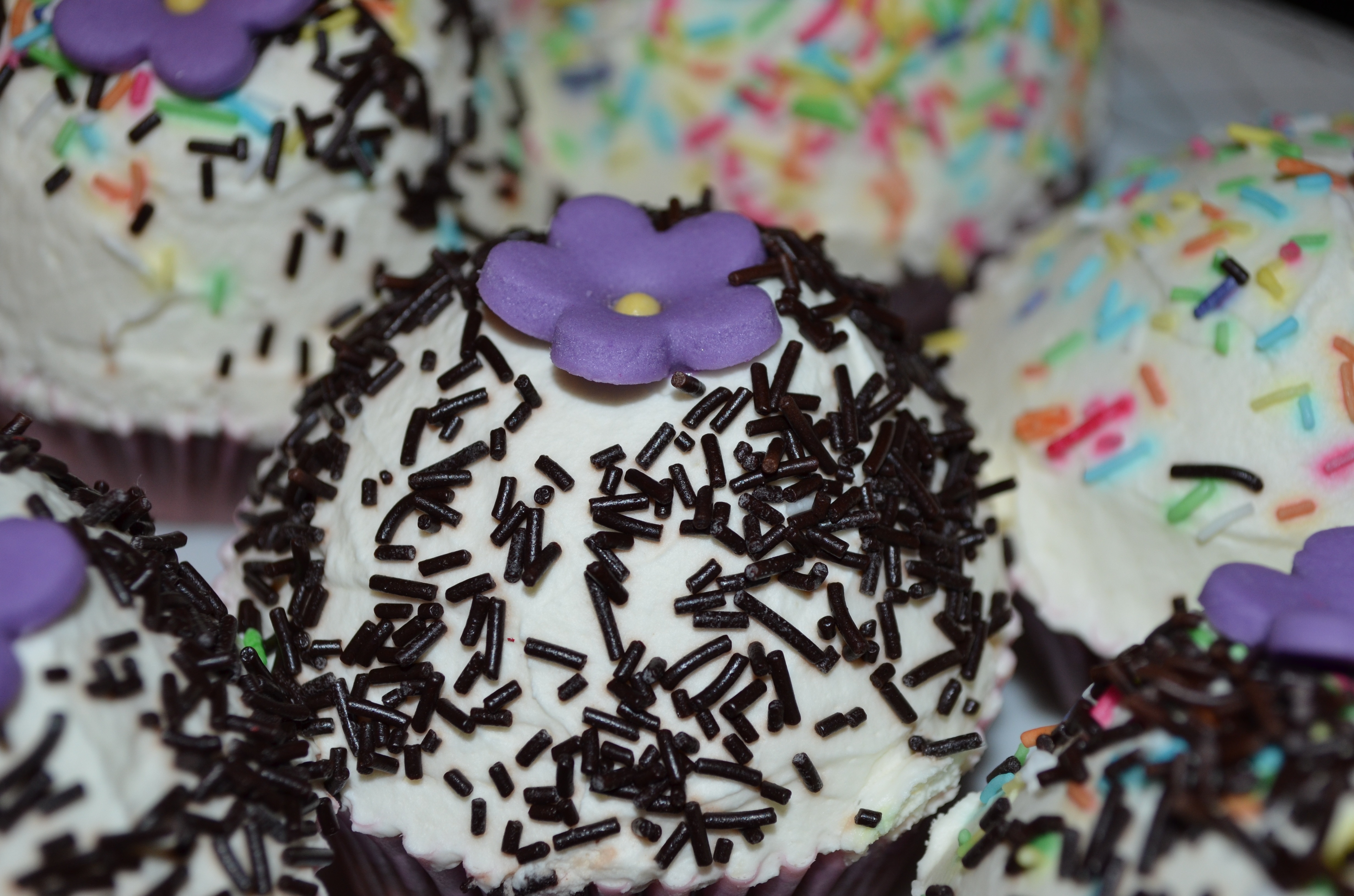 white cupcake with chocolate sprinkle