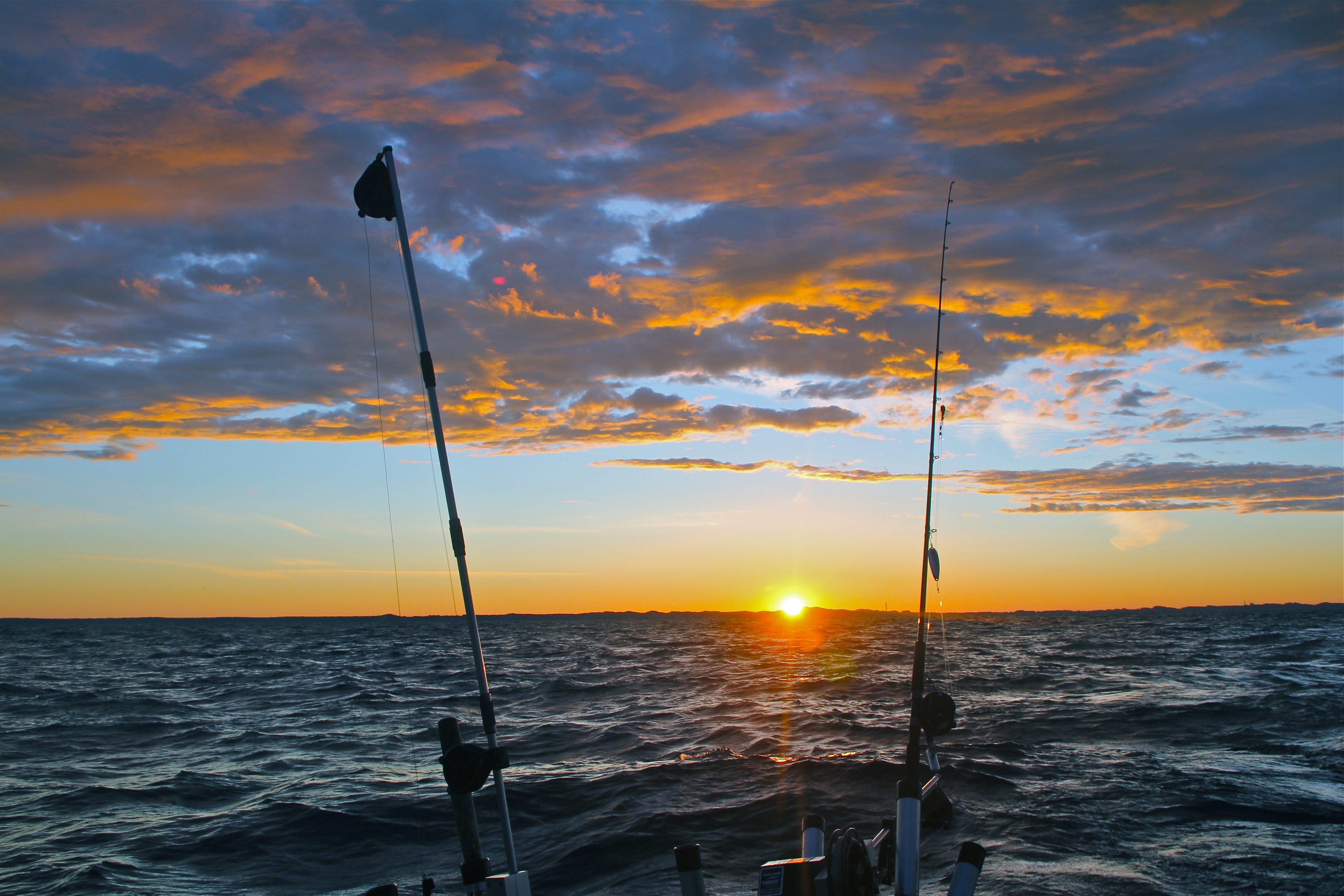 2 fishing rods free image