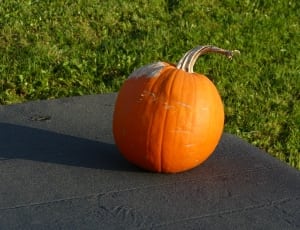 pumpkin on black table top thumbnail