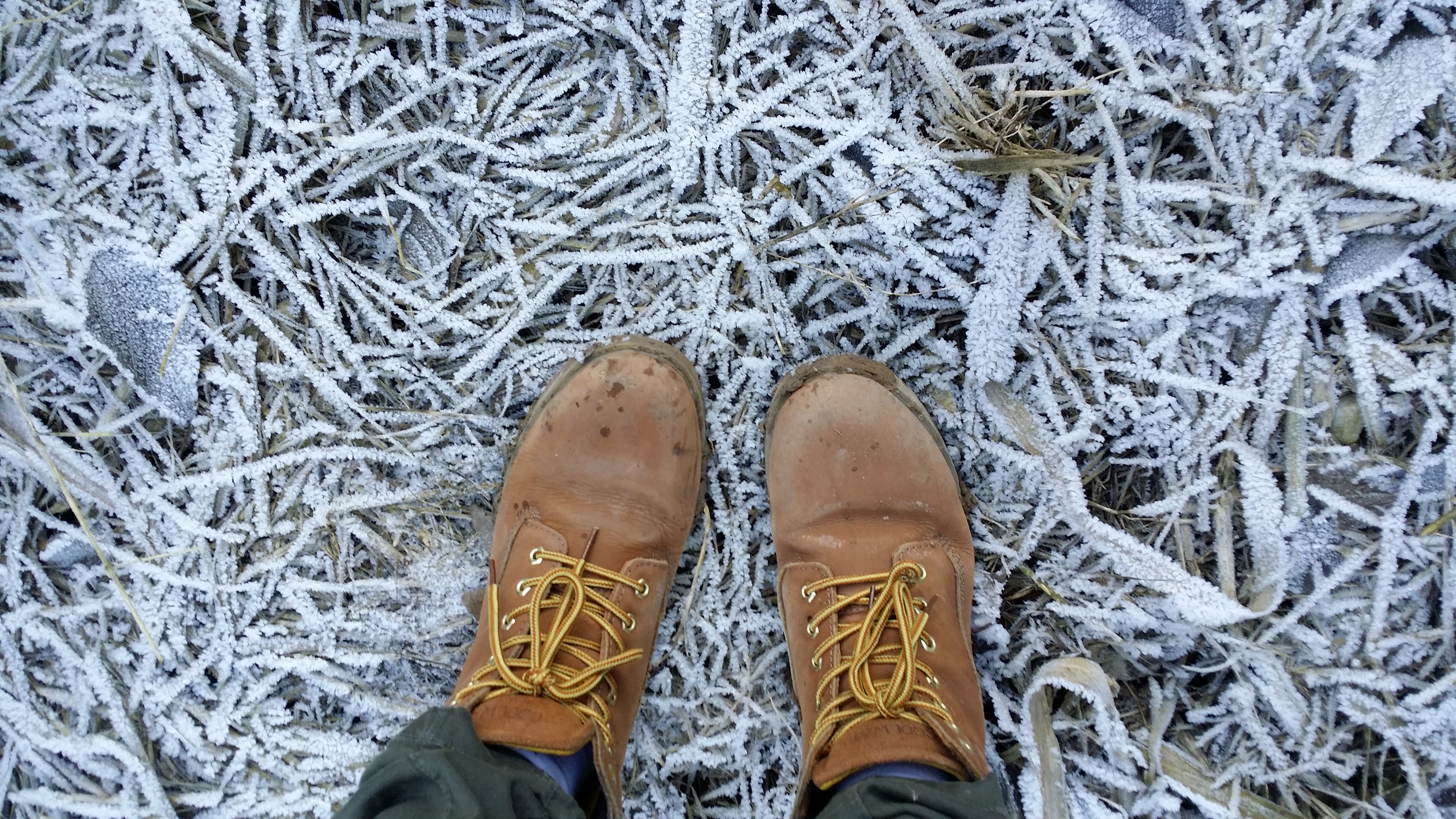 pair of brown hiking boots