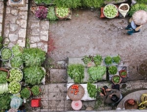 aerial photography of vegetable market thumbnail