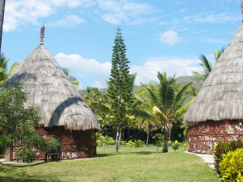 2 brown nipa hut preview