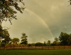 green grass field under the sky with rainbow thumbnail