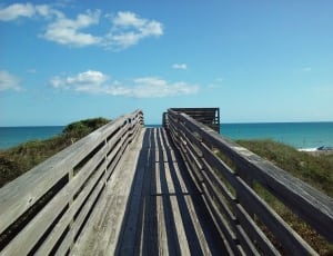 gray wooden bridge near  body of water during day time thumbnail