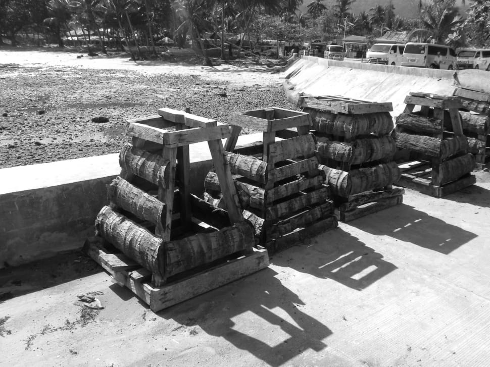 brown coconut tree framed racks preview