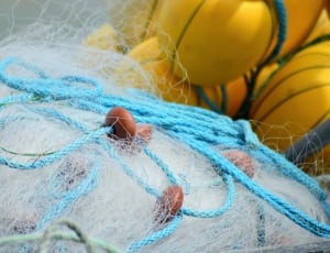 blue and white fishing net thumbnail