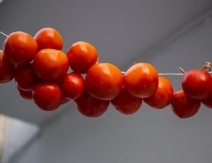 cherry tomatoes thumbnail