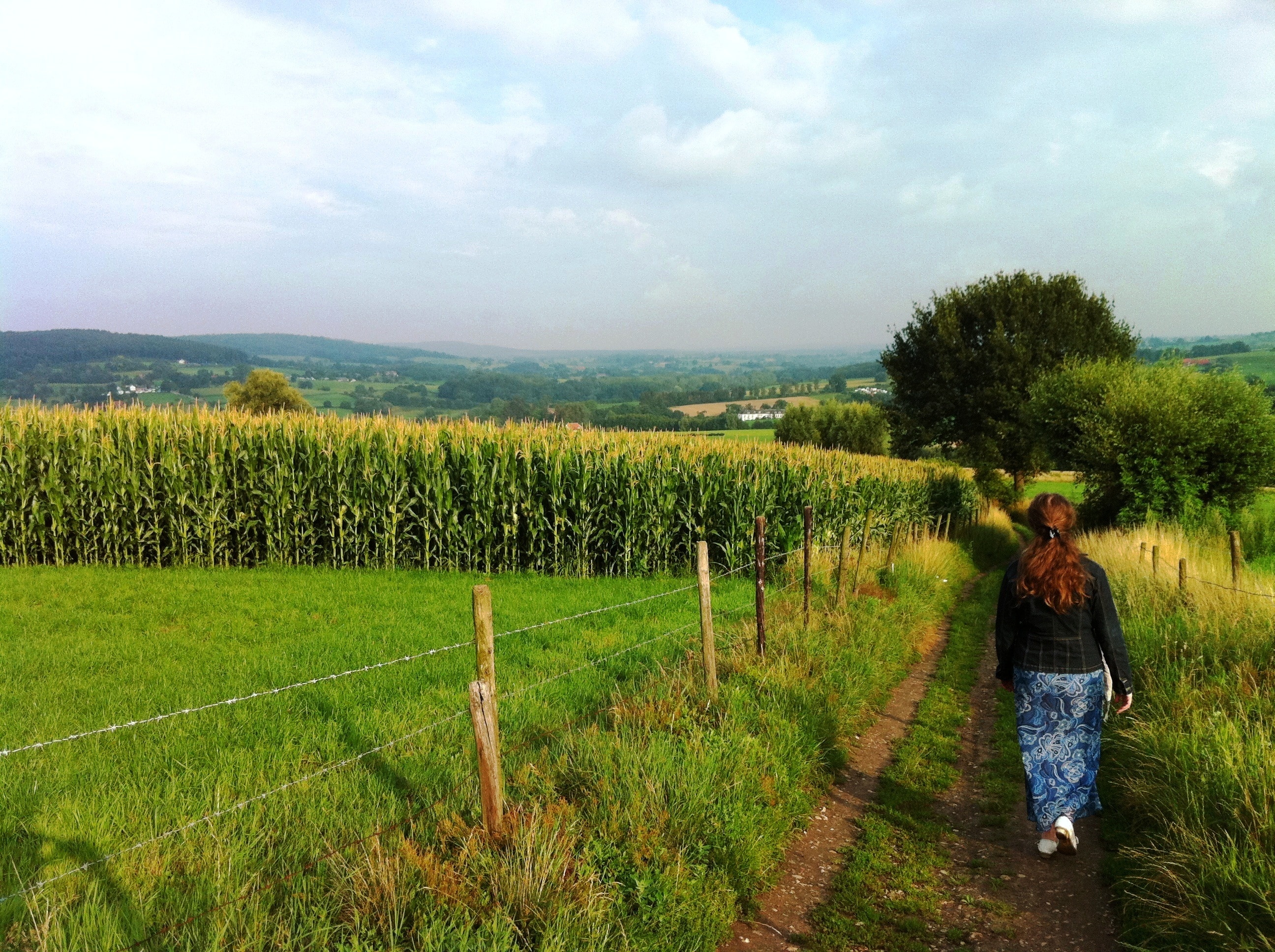 Woman, Walk, Path, Fields, Corn, Fence, field, agriculture