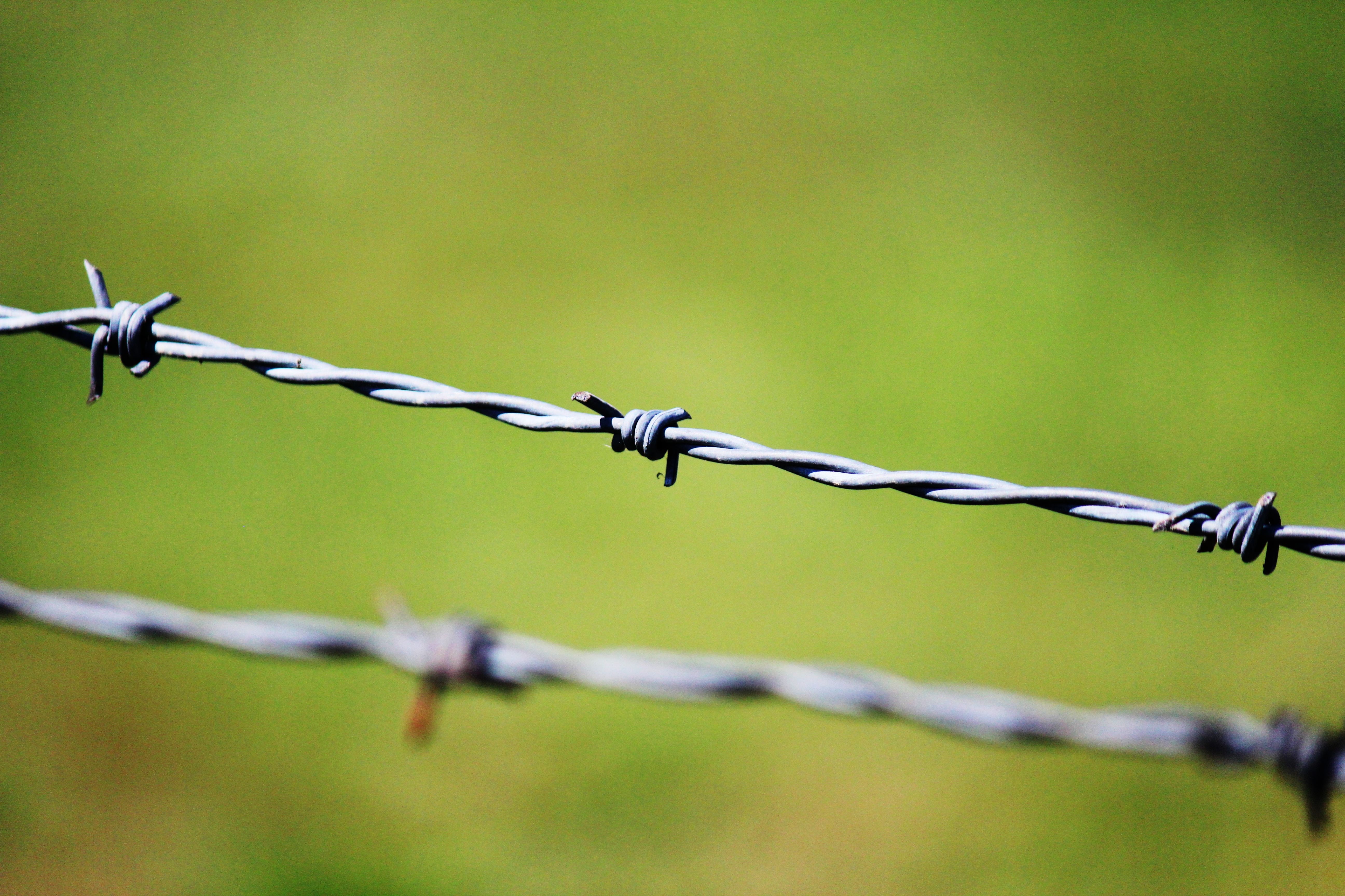 gray metal barbed wire