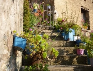 blue and pink steel flower pots thumbnail