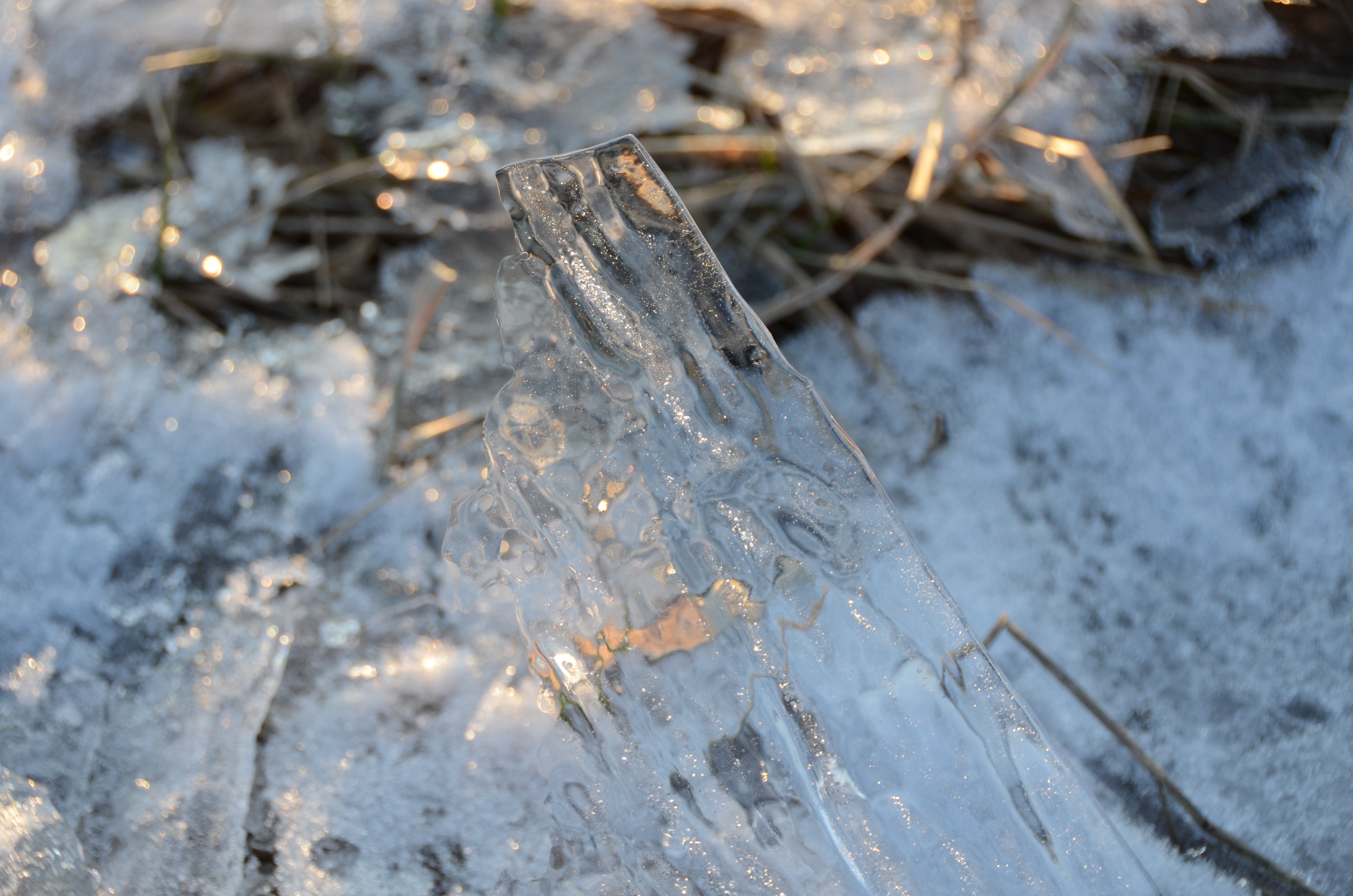 clear icicle