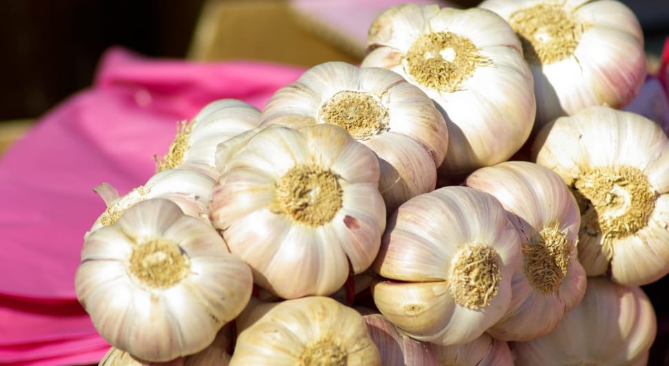 white garlics preview