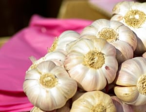 white garlics thumbnail