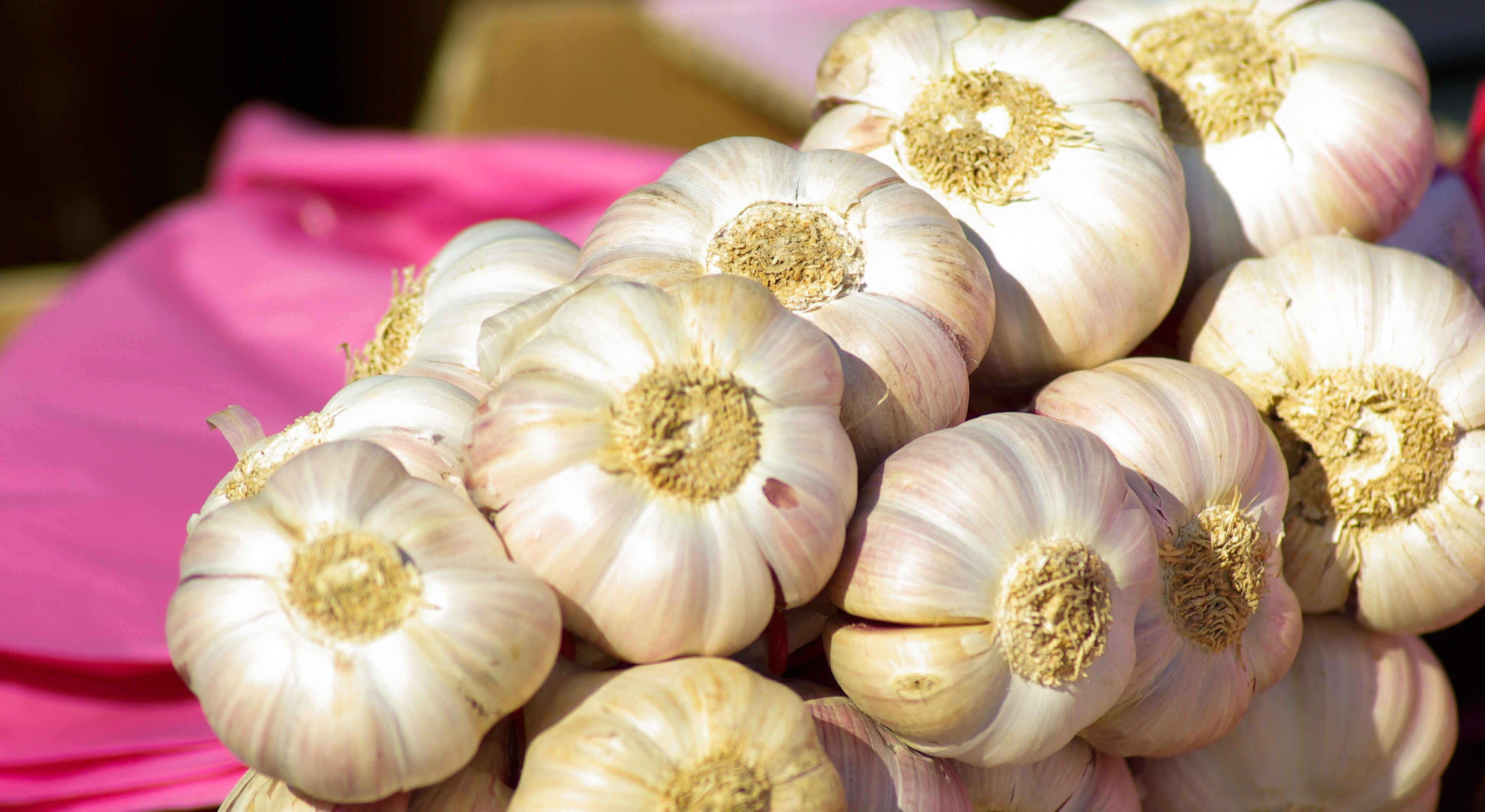 white garlics