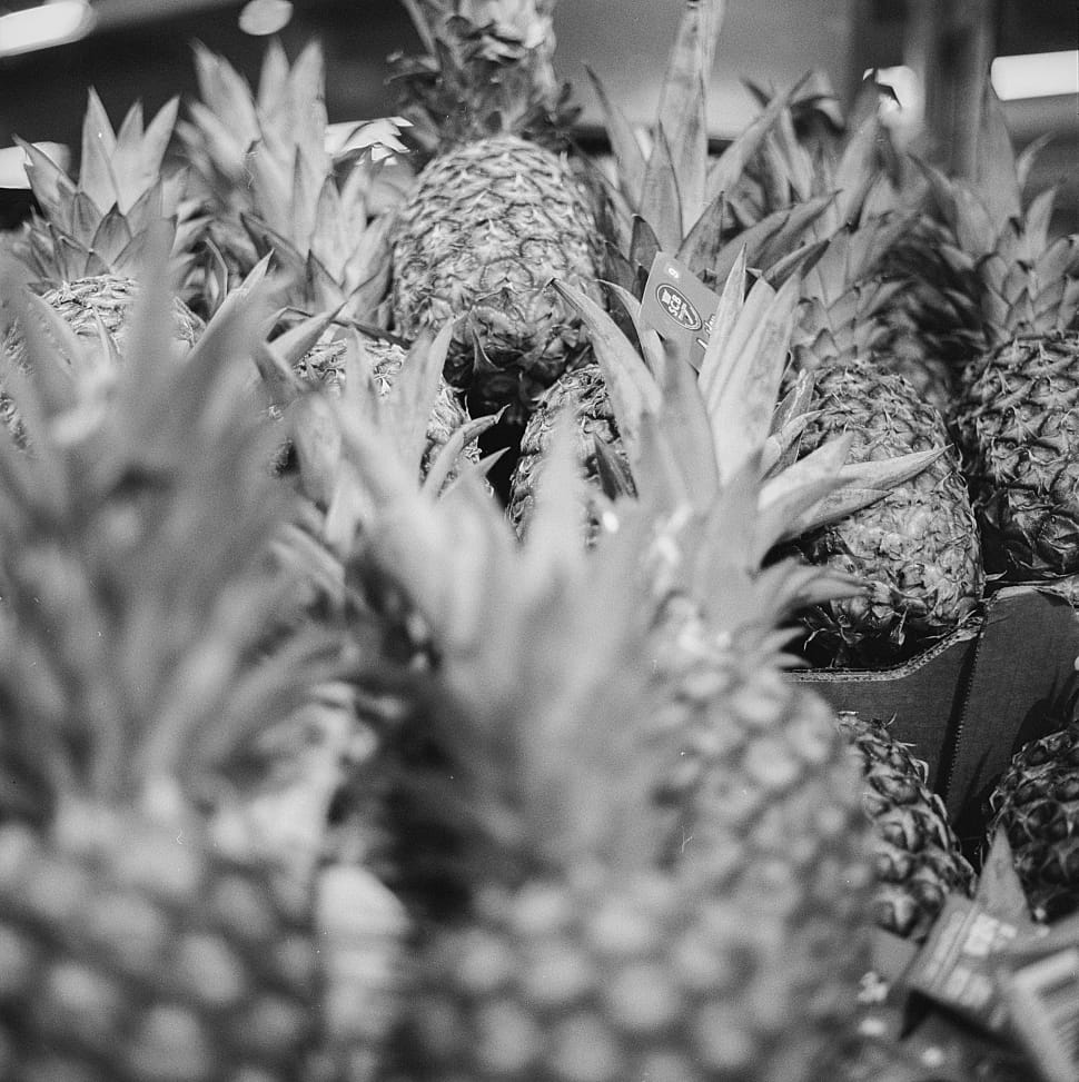 gray scale photo of pineapple preview