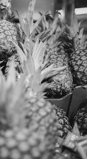 gray scale photo of pineapple thumbnail