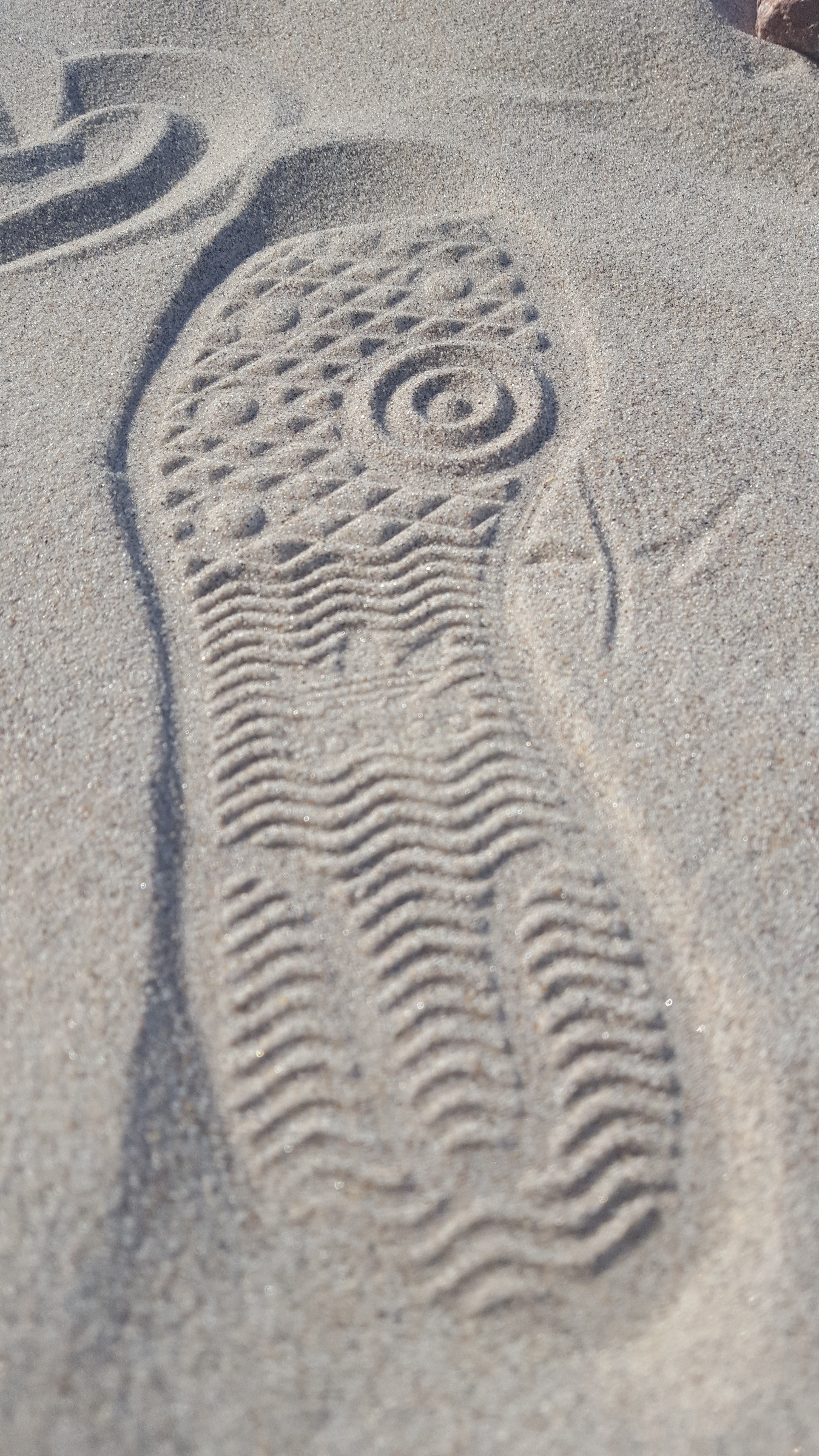 shoe footprint