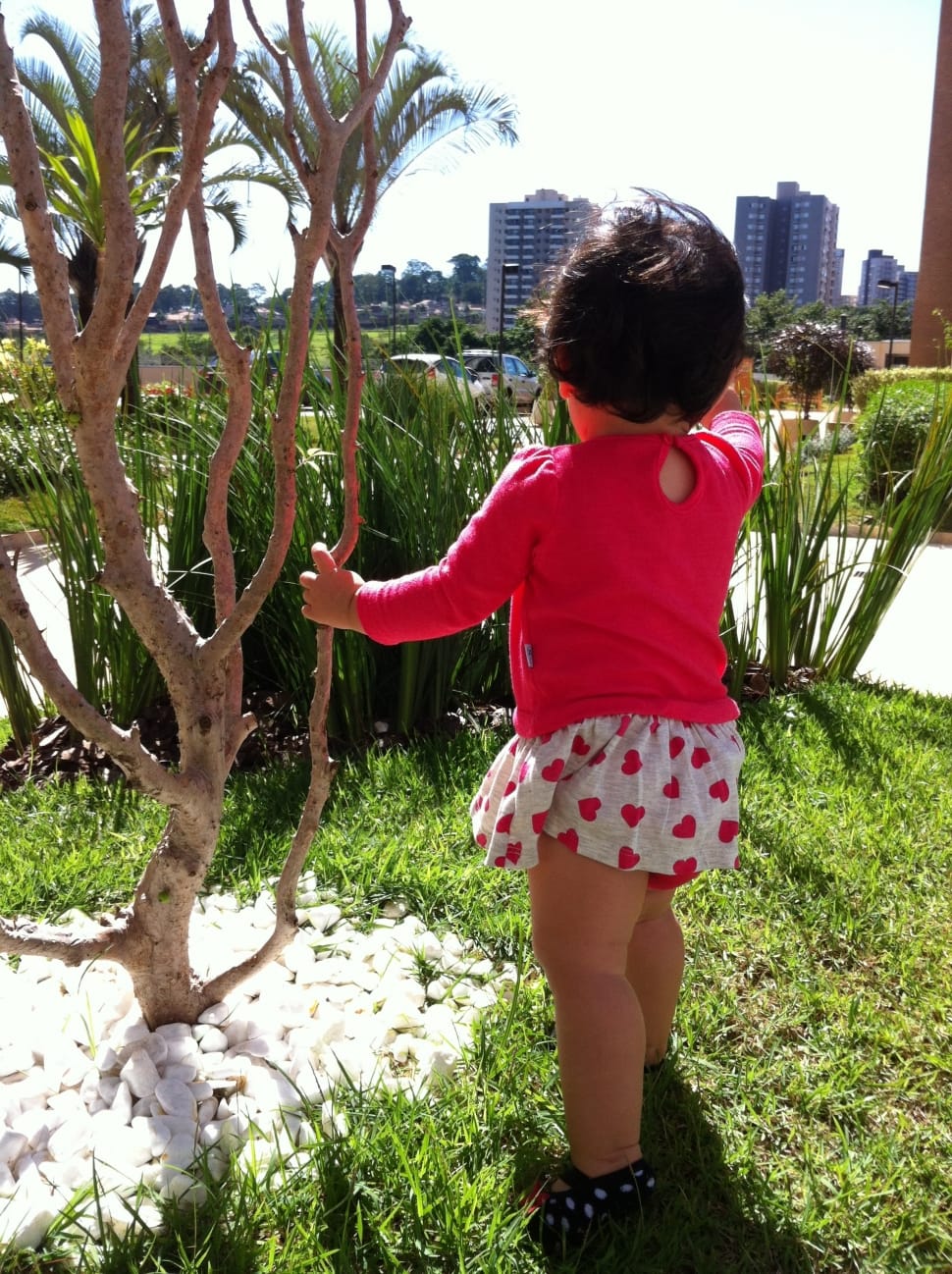 baby girl standing beside a tree on broad daylight preview