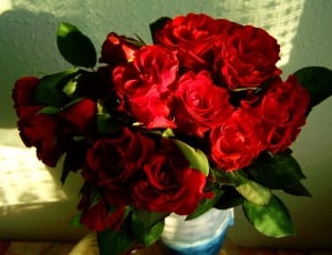 red roses in white vase close up photography thumbnail