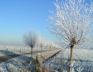 snow covered field thumbnail