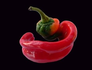 red pepper thumbnail
