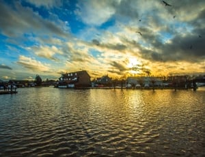 brown houses on large body of water thumbnail