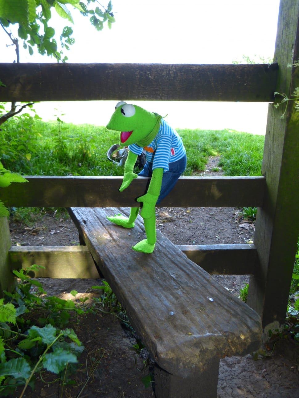 hermit the frog plush toy on brown wooden fence during daytime preview