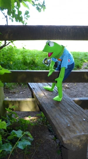 hermit the frog plush toy on brown wooden fence during daytime thumbnail
