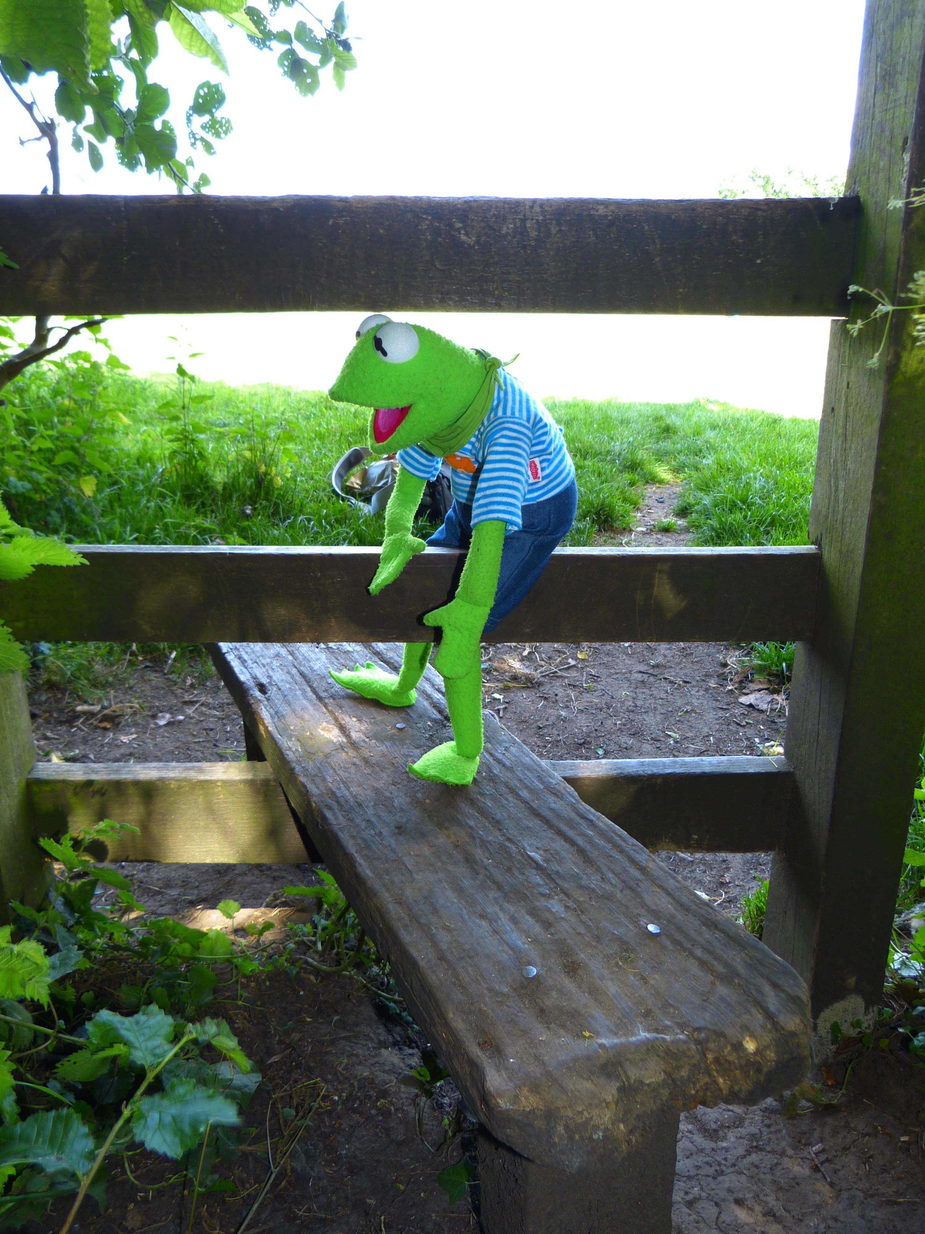 hermit the frog plush toy on brown wooden fence during daytime