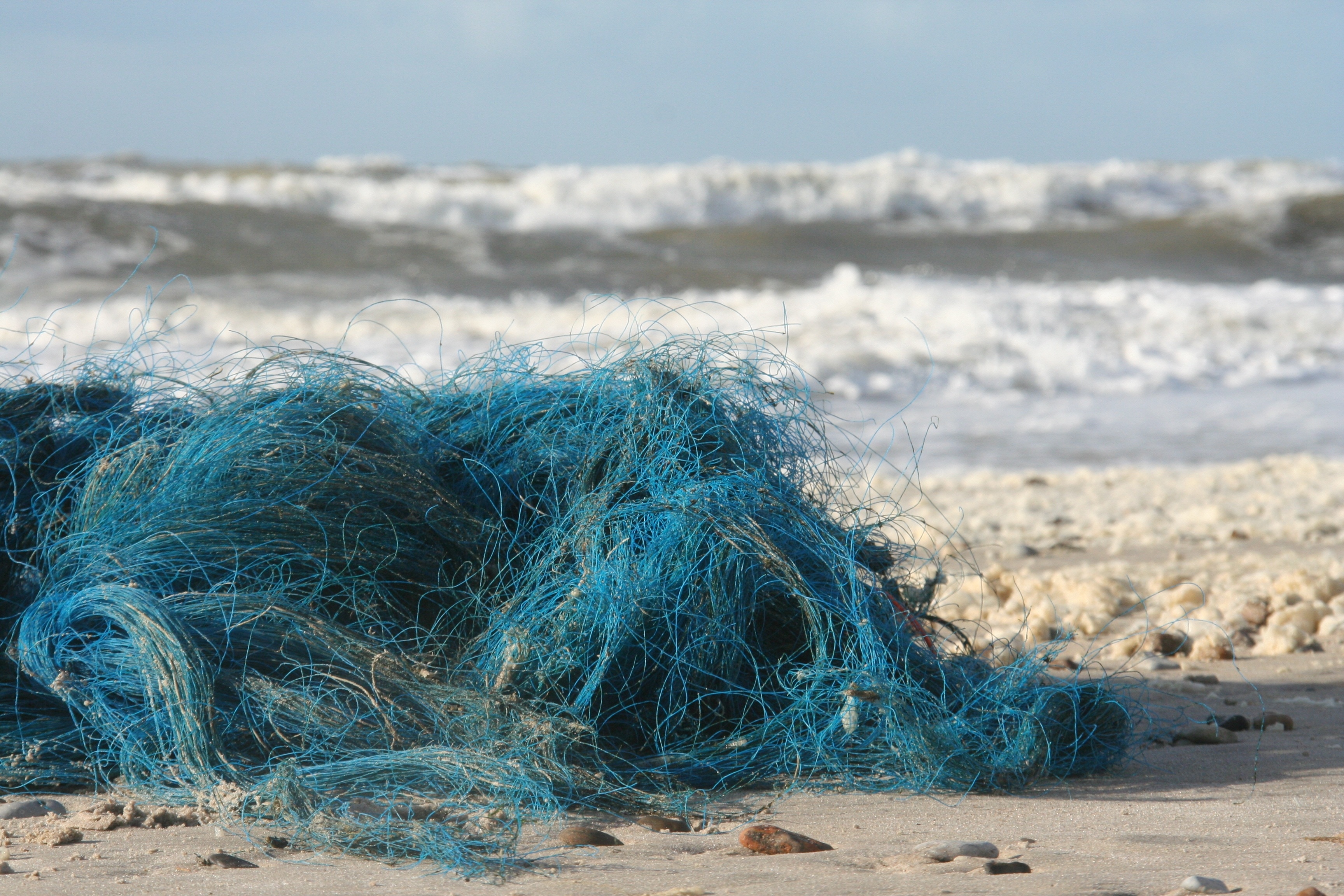 blue fish net